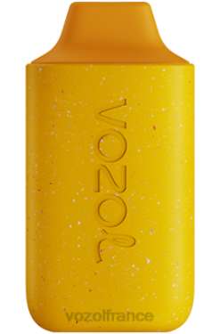 VOZOL Vape Store - VOZOL STAR 6000 mangue pêche ananas 8J882119