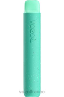 VOZOL Vape Store - VOZOL STAR 600 punch tropical 8J88299
