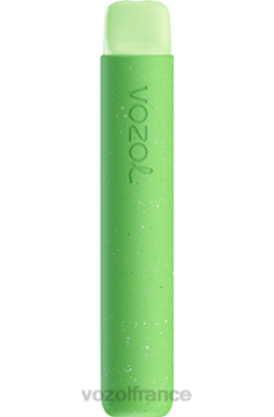 VOZOL Vape Store - VOZOL STAR 600 tempête de baies forestières 8J88279