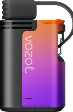 VOZOL Vape - VOZOL GEAR 4000c/6000 tempête de baies forestières 8J882324