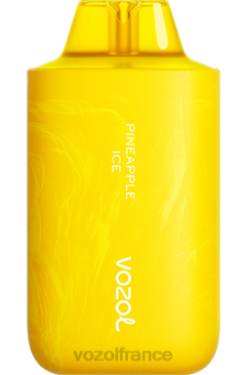 VOZOL Vape - VOZOL STAR 6000/8000v2 glace à l'ananas 8J88264