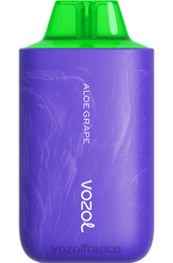 VOZOL Vape - VOZOL STAR 6000/8000v2 raisin d'aloès 8J88254