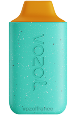 VOZOL Vape - VOZOL STAR 6000 punch au miel 8J882114