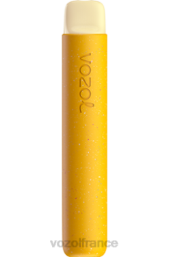 VOZOL Vape - VOZOL STAR 600 citron kiwi fruit de la passion 8J88284